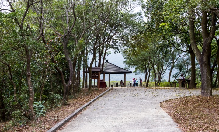 城門水塘全程石屎路,有多樹蔭,推住BB車行都得。