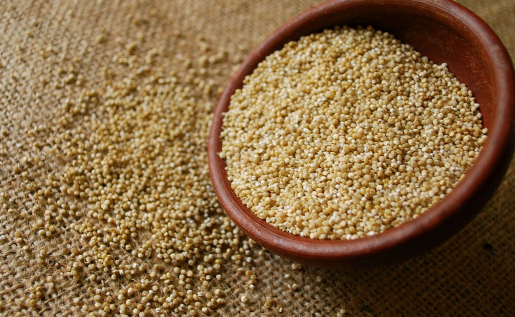 藜穀 Quinoa