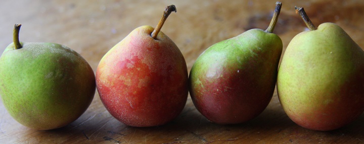 梨 Pears