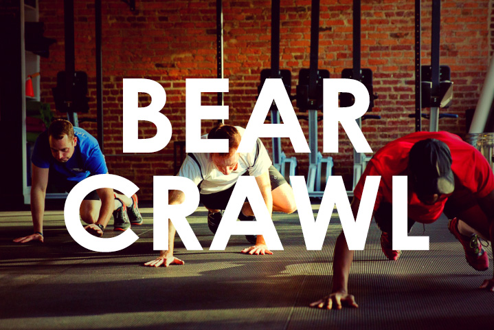 Bear Crawl 熊仔爬_f