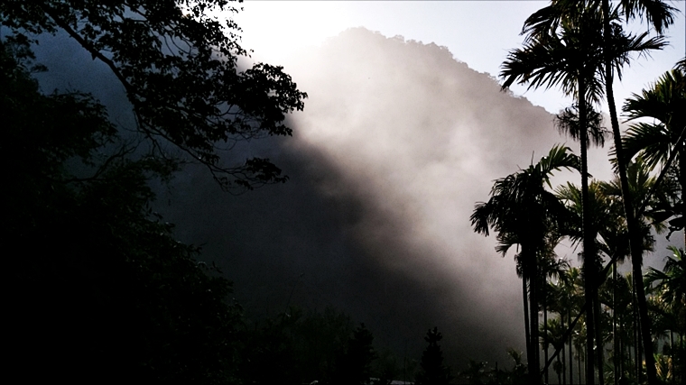 霧裡山澗的晨景