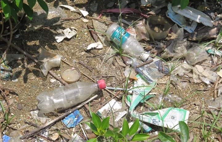 海灘垃圾中最多的是塑膠物品（圖片來源：綠惜地球）
