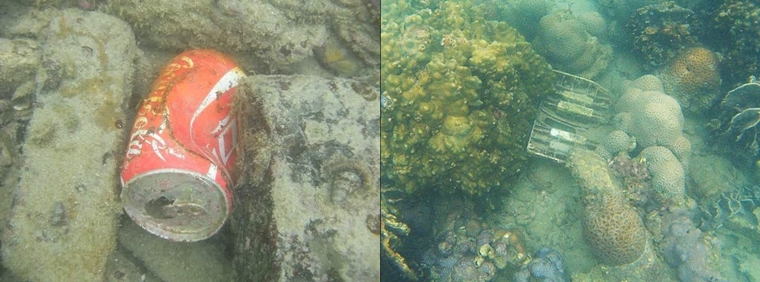 不要讓美麗的珊瑚被垃圾和污染物破壞：（圖片來源：小昭）