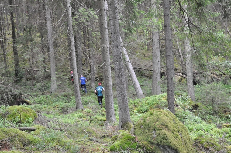 在斯堪地那維亞的樹林導向，比想像更困難十倍。