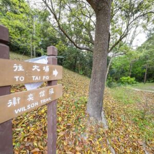 衛奕信徑 第七段