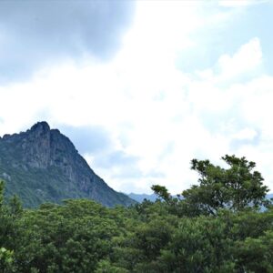 麥理浩徑第五段