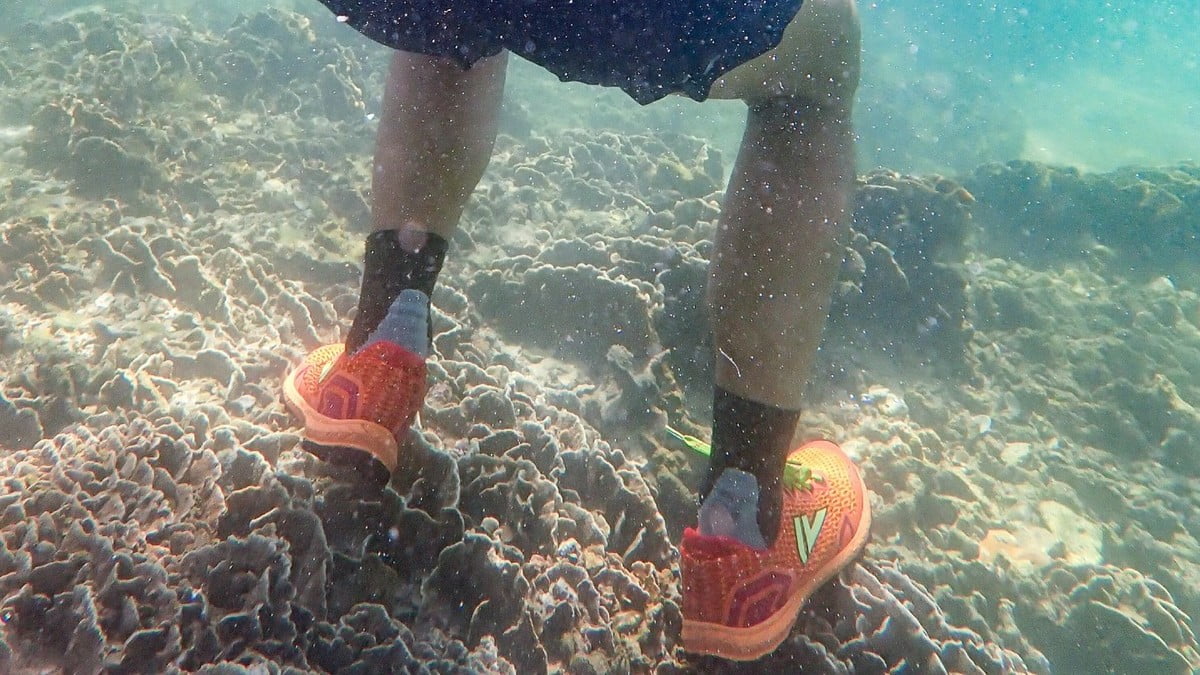 50人東心淇浮潛腳踩珊瑚| 網上矛頭直指租船公司引狼入室| Fitz 運動平台